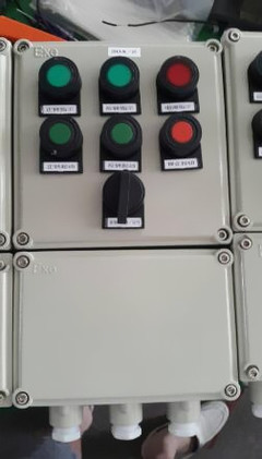 防爆防腐控制按钮箱-乐清市广隆防爆电气科技